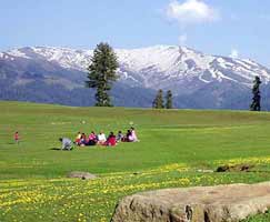 Honeymoon Tour To Srinagar