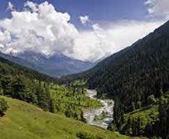 Honeymoon In Srinagar