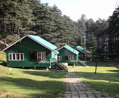 Srinagar Honeymoon Trip