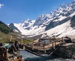 Package Tour To Srinagar